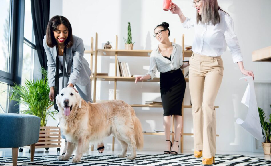 Animais no trabalho: entenda as vantagens dessa tendência!