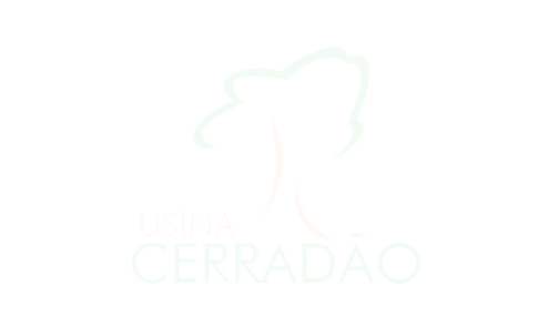 Imagem12 1